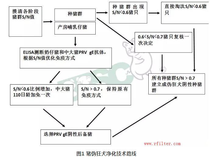 規(guī)模豬場如何凈化控制疫??？空氣過濾系統(tǒng)如何阻擋藍(lán)耳病毒株呢？